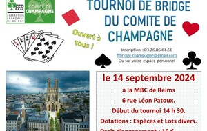 TOURNOI DU COMITE