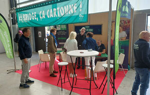 Un arrêt pour découvrir le bridge et ses vertus insoupçonnées