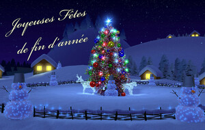 Joyeuses fêtes