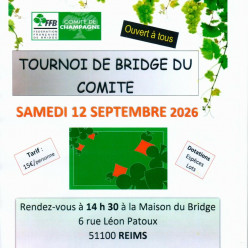 Tournoi  et AG du Comité